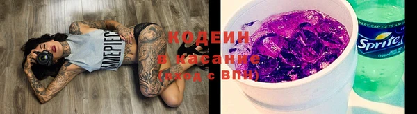 соль ск Медногорск