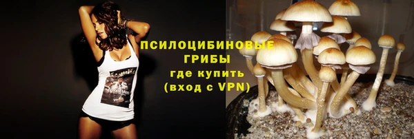 стафф Медвежьегорск