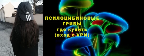 соль ск Медногорск