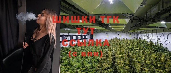 стафф Медвежьегорск