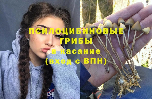 2c-b Мегион